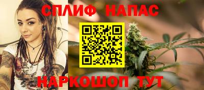 ешки Гатчина