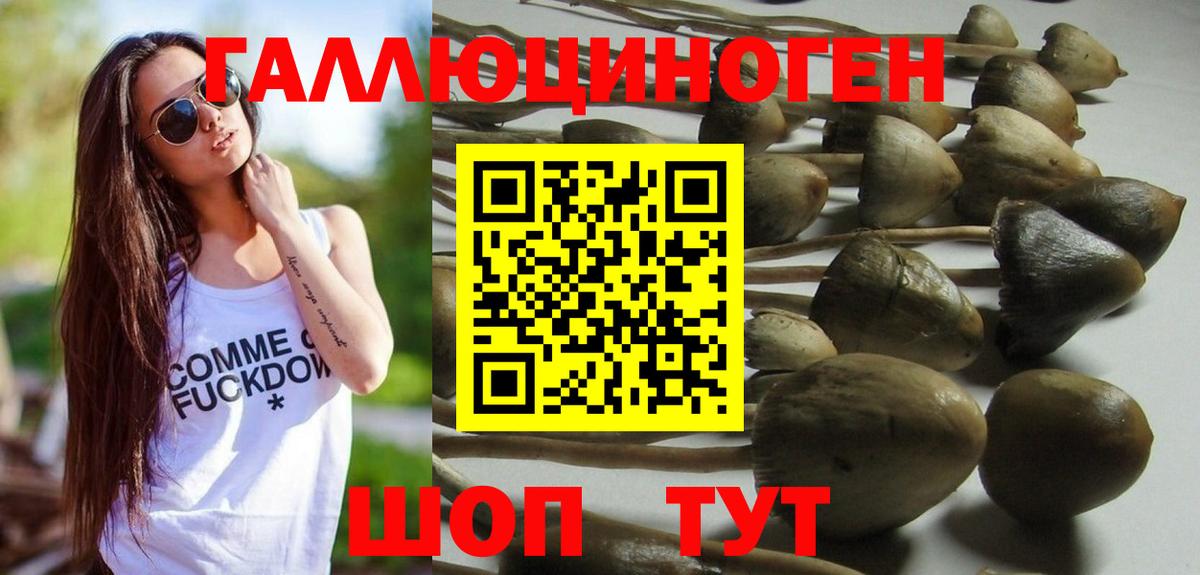Галлюциногенные грибы MAGIC MUSHROOMS  Вход с VPN  Псилоцибиновые грибы прущие грибы  Волгодонск 